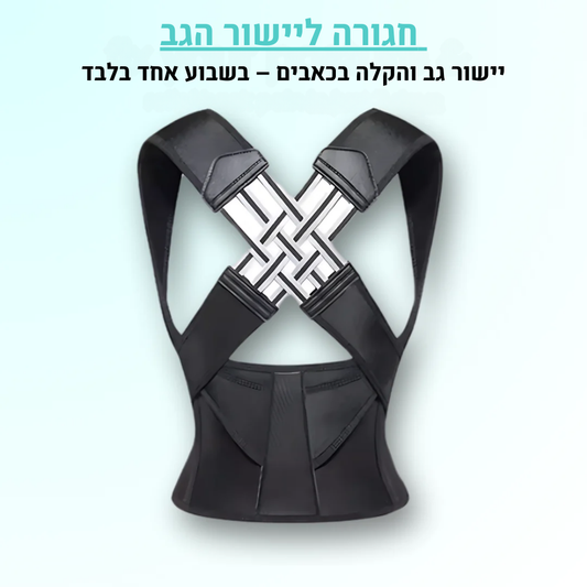 חגורה ליישור הגב